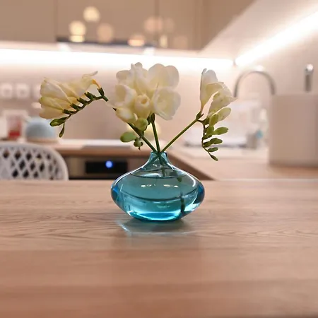 Apartman Lilaki